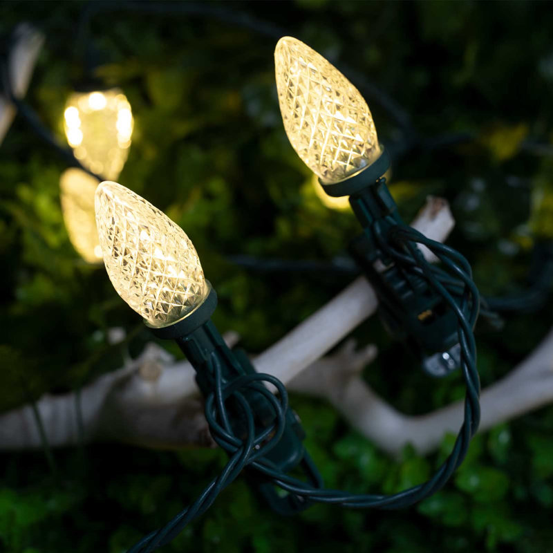 100 led string lights warm white store
